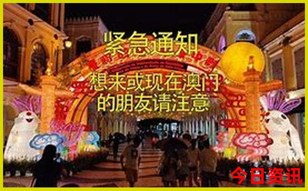 秀才最准确生肖